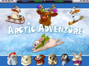 arctic adventure